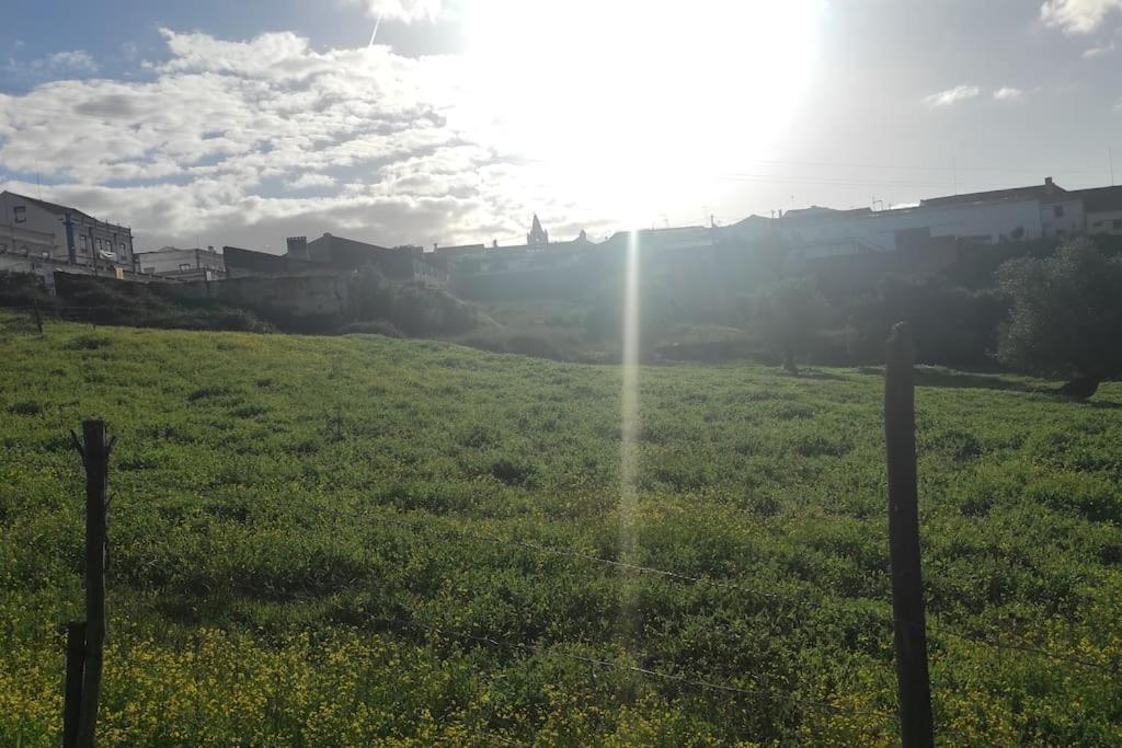 Villa Nova Quinta Moderna Torramo Em Oliveiras, Campo De Laranjas, Na Nacional 2, Alentejo 13750 M2 Torrão Exterior foto