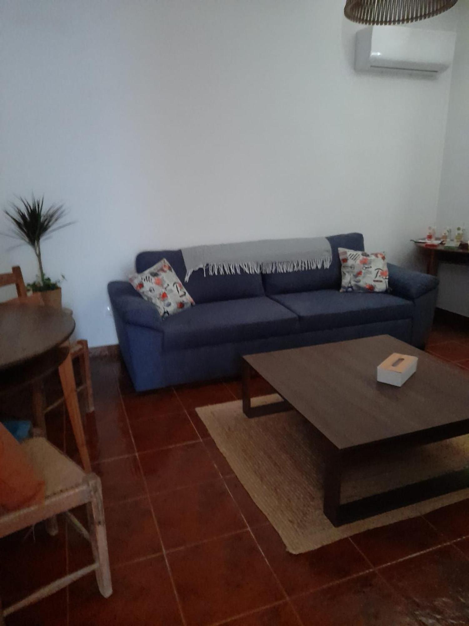 Villa Nova Quinta Moderna Torramo Em Oliveiras, Campo De Laranjas, Na Nacional 2, Alentejo 13750 M2 Torrão Exterior foto