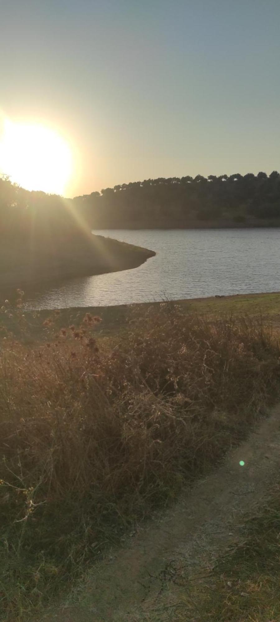 Villa Nova Quinta Moderna Torramo Em Oliveiras, Campo De Laranjas, Na Nacional 2, Alentejo 13750 M2 Torrão Exterior foto